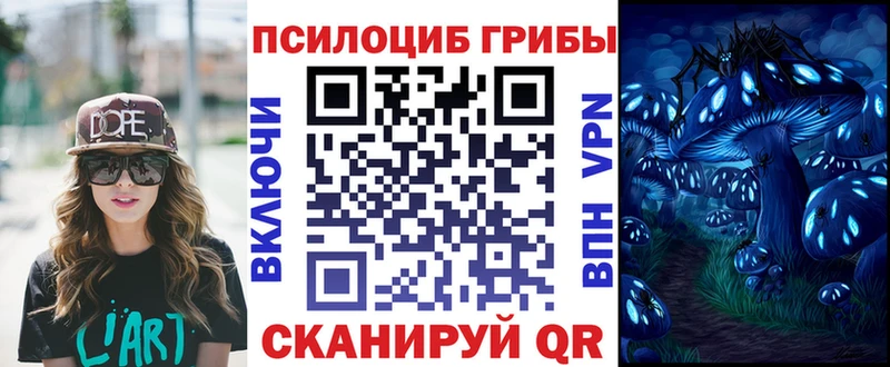 купить сайты Мыски Псилоцибиновые грибы прущие грибы